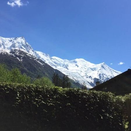 Studio Au Calme Avec Jardin Et Vue Mont-Blanc شامونكس المظهر الخارجي الصورة