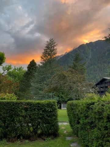 Studio Au Calme Avec Jardin Et Vue Mont-Blanc شامونكس المظهر الخارجي الصورة